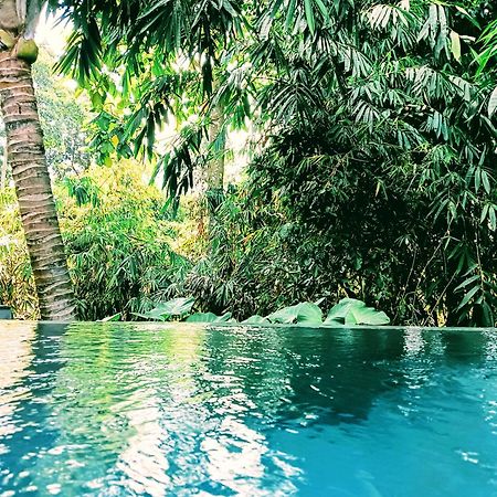 Ngesil Private Joglo & Pool Hotel Ubud Exterior foto